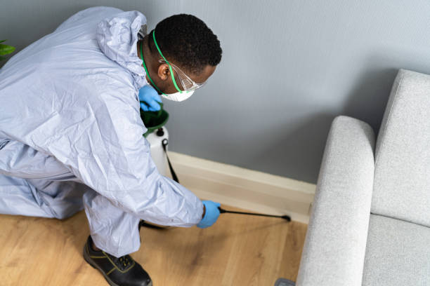 Best Residential Pest Control  in Baldwinsville, NY